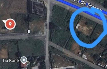 ABIDJAN COCODY : Terrain stratégique à vendre de 1 471 m² à la Riviera Golf 4