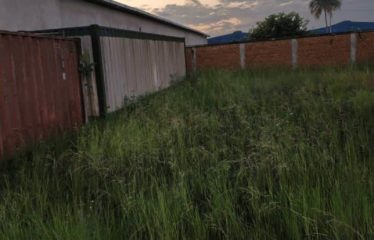 GRAND-BASSAM : Entrepôt à louer – Carrefour Tata