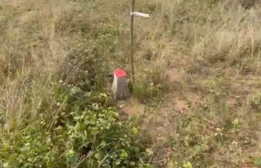 ABIDJAN BINGERVILLE : Vente de terrain avec ACD