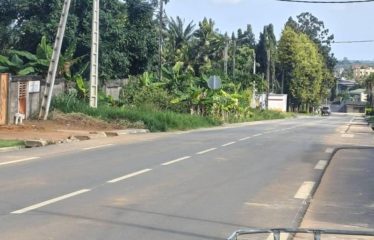 ABIDJAN COCODY : Terrain de 2 500 m² à M’Badon