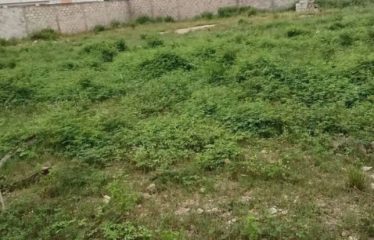 ABIDJAN COCODY : Terrain de 2880m2 à vendre avec ACD en bordure de lagune