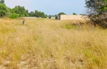 ASSINIE : Terrain 600 m2 à vendre