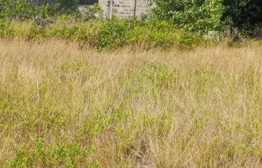 ASSINIE : Terrain 600 m2 à vendre