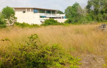 ASSINIE : Terrain 600 m2 à vendre