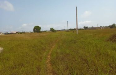 ABIDJAN ANYAMA : Vente terrain 63 hectares avec ACD en bordure – Autoroute du Nord