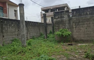 ABIDJAN BINGERVILLE : Terrain 600 m2 à Feh Kessé avec ACD à vendre