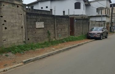 ABIDJAN BINGERVILLE : Terrain 600 m2 à Feh Kessé avec ACD à vendre