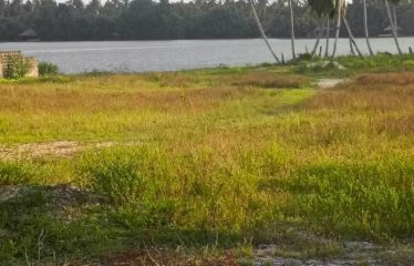 ASSINIE : Vente terrain 1500 m2 – Assinie Mafia