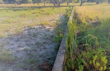 ASSINIE : Vente 2 lots 600 m2 – Assinie Mafia