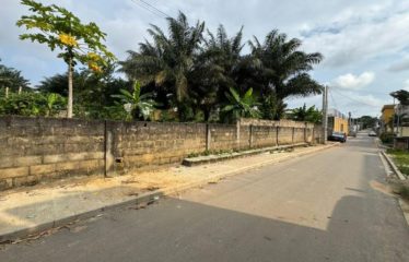 ABIDJAN COCODY : Terrain à vendre 3700 m2