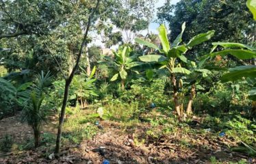 ABIDJAN ANGRÉ : Terrain à vendre 6593 m2