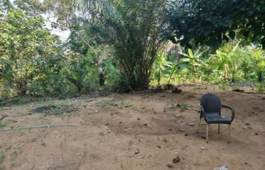 ABIDJAN ANGRÉ : Terrain à vendre 6593 m2
