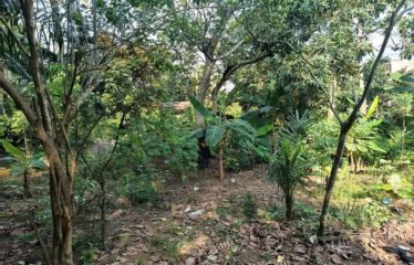 ABIDJAN ANGRÉ : Terrain à vendre 6593 m2