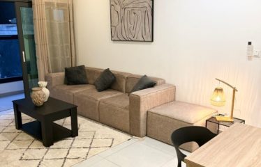 ABIDJAN ANGRÉ : Appartement T2 meublé en location