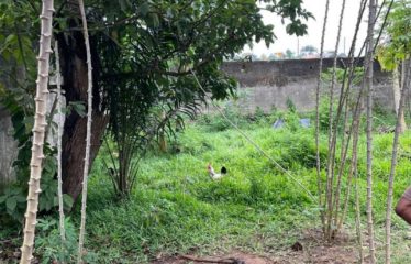 ABIDJAN COCODY : Vente terrain 1096 m2