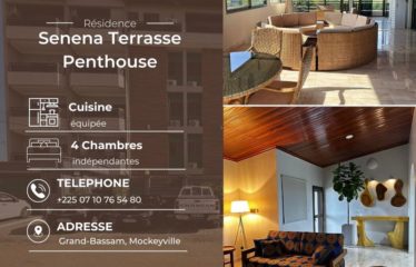 GRAND-BASSAM : Senena Terrasse Penthouse – Location meublée