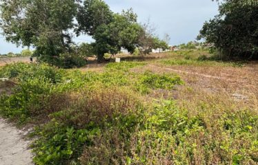 ASSINIE : Terrain de 573 m2 à vendre