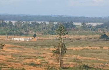ABIDJAN BINGERVILLE: 6-hectare plot of land for sale