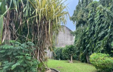 ABIDJAN COCODY : Villa duplex à vendre 6 pièces