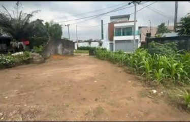 ABIDJAN COCODY : Vente terrain 532 m2