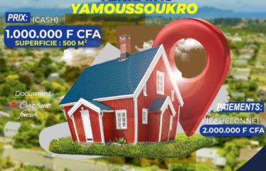 YAMOUSSOUKRO : Terrain en vente 500 m2