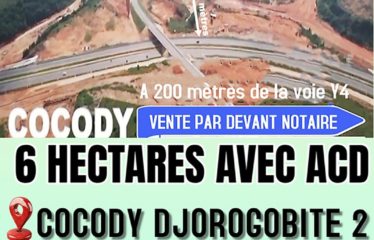 ABIDJAN COCODY : Parcelles sur terrain de 6 hectares à vendre