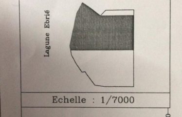 ABIDJAN COCODY : Terrain pieds dans l&rsquo;eau à vendre 3 hectares – ACD