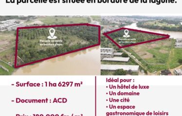 ABIDJAN COCODY : Vente terrain 1 hectare 6297 m2