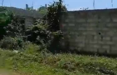 ABIDJAN BINGERVILLE : Terrain 588 m2 à vendre