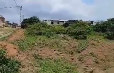 ABIDJAN BINGERVILLE : Terrain 588 m2 à vendre