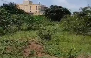 ABIDJAN BINGERVILLE : Terrain 588 m2 à vendre