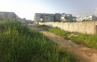 ABIDJAN BINGERVILLE : Vente terrain 600m2 – Vue Lagunaire – ACD