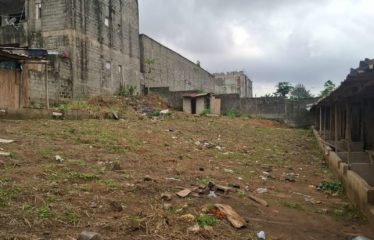 ABIDJAN ANGRÉ : Vente terrain 659m² – CHU