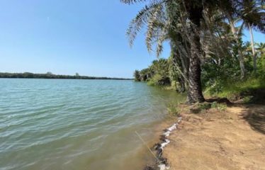 ABIDJAN SONGON : Vente terrain 2 hectares pieds dans l&rsquo;eau – ACD