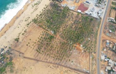 GRAND-BASSAM : Vente terrain 4 hectares + 2 hectares de servitude – Bord de mer