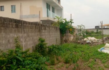 ABIDJAN BINGERVILLE : Terrain à vendre 800 m2
