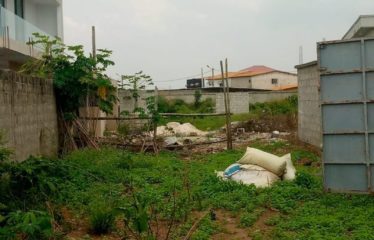 ABIDJAN BINGERVILLE : Terrain à vendre 800 m2