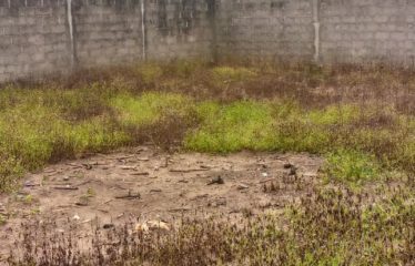 ABIDJAN BINGERVILLE : Terrain à vendre 800 m2