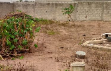 ABIDJAN BINGERVILLE : Terrain à vendre 800 m2