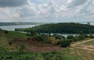 ABIDJAN BINGERVILLE : Vente terrain 15 hectares pieds dans l&rsquo;eau – ACD