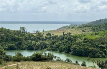 ABIDJAN BINGERVILLE : Vente terrain 15 hectares pieds dans l&rsquo;eau – ACD