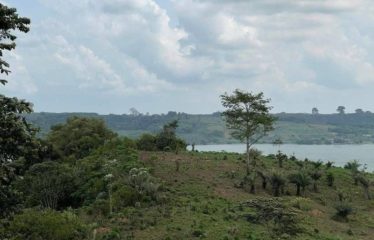 ABIDJAN BINGERVILLE : Vente terrain 15 hectares pieds dans l&rsquo;eau – ACD