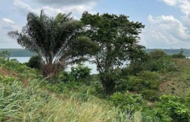 ABIDJAN BINGERVILLE : Vente terrain 15 hectares pieds dans l&rsquo;eau – ACD