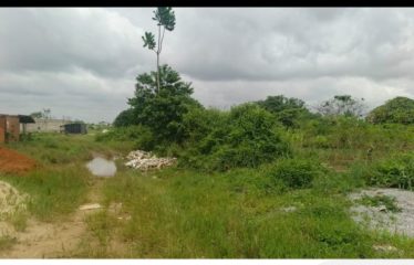 ABIDJAN BINGERVILLE: Commercial land for sale, 400 m2