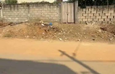 ABIDJAN COCODY : Vente terrain 500 m2 – ACD