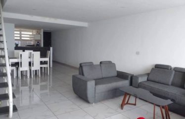 ABIDJAN PLATEAU: Luxury 4-room duplex apartment for sale