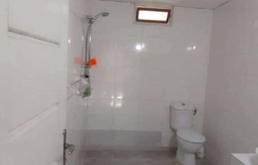 ABIDJAN PLATEAU: Luxury 4-room duplex apartment for sale