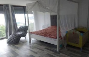 ABIDJAN PLATEAU: Luxury 4-room duplex apartment for sale