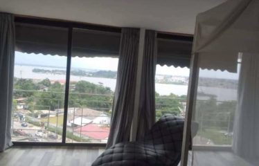 ABIDJAN PLATEAU: Luxury 4-room duplex apartment for sale