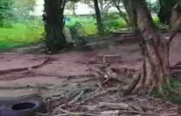 ABIDJAN COCODY : Terrain 3200 m2 à vendre – Golf 1